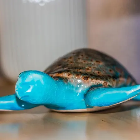 Tartaruga Azul *