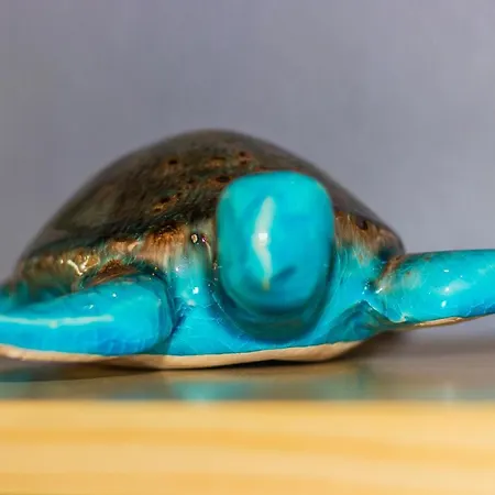 Tartaruga Azul דירה *